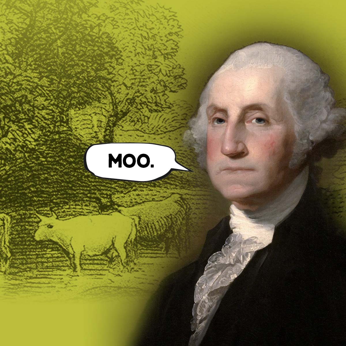 picture of george washington with a word bubble that says "moo"