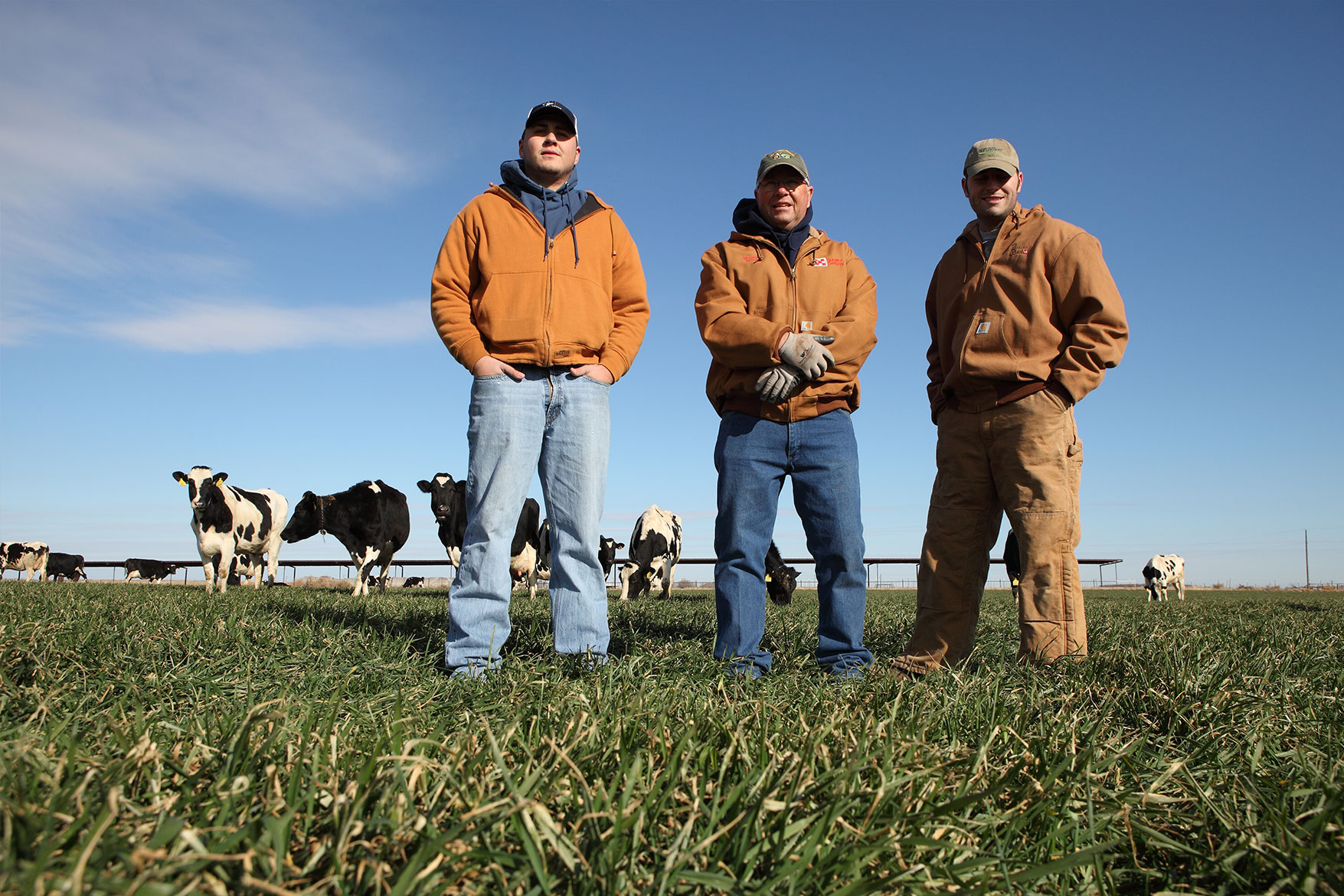 The Berend men pose for a photo with their herd in the pasture.