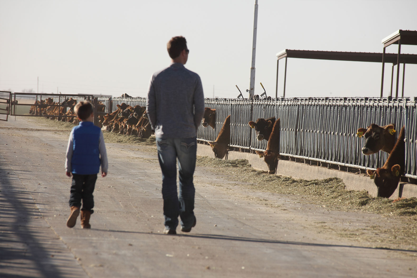 Father and son checking on the herd.