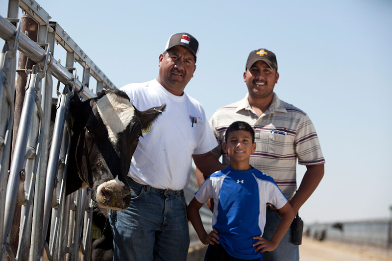 The Vasquez men pose with a Holstein cow.