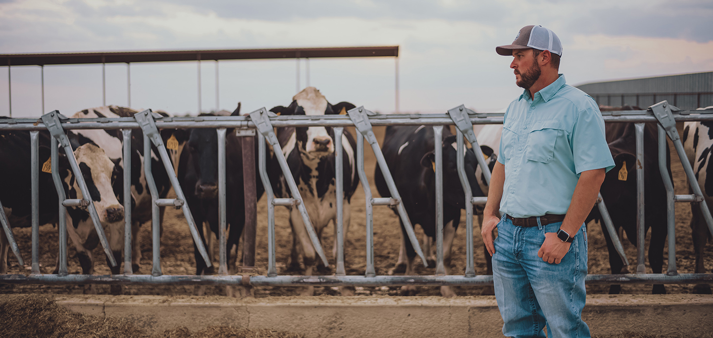 How Dairy Farmers Help Local Economies