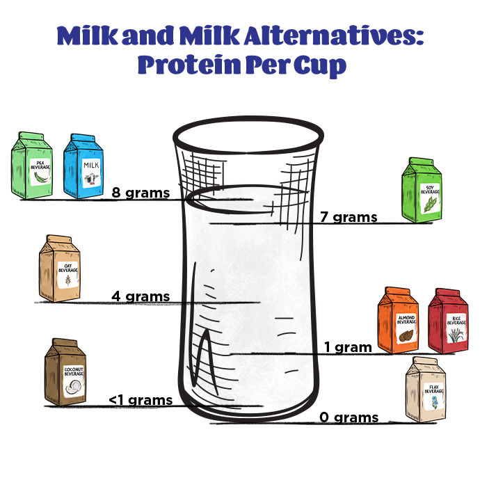 Milk and Milk Alternatives: Protein Per Cup