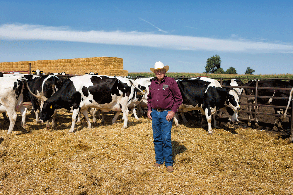 Jim Docheff Sr. stands with some of his Holstein cows.