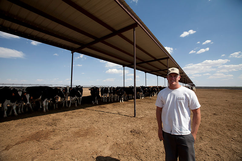 Mr. Alger poses in front of a group of cows enjoying the shade.