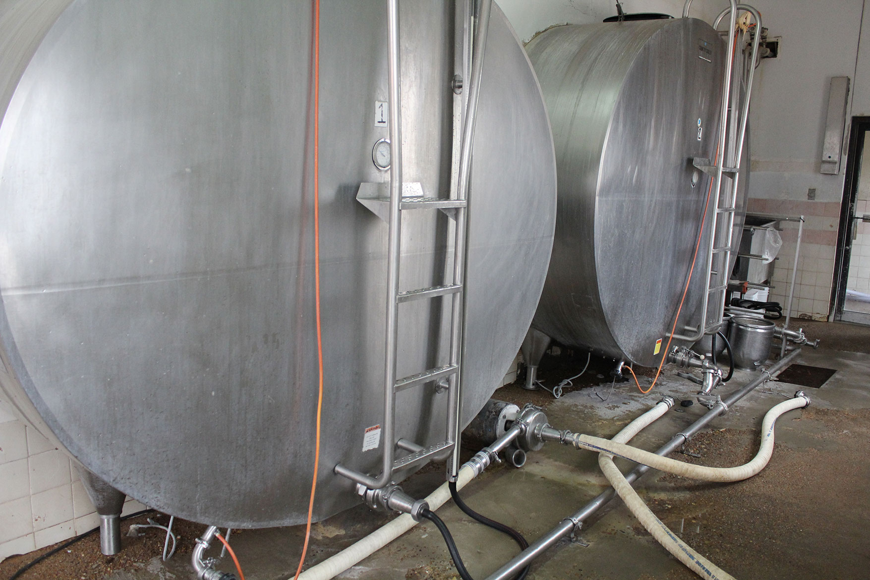 These stainless steel tanks store the milk until a truck comes to pick it up for processing.