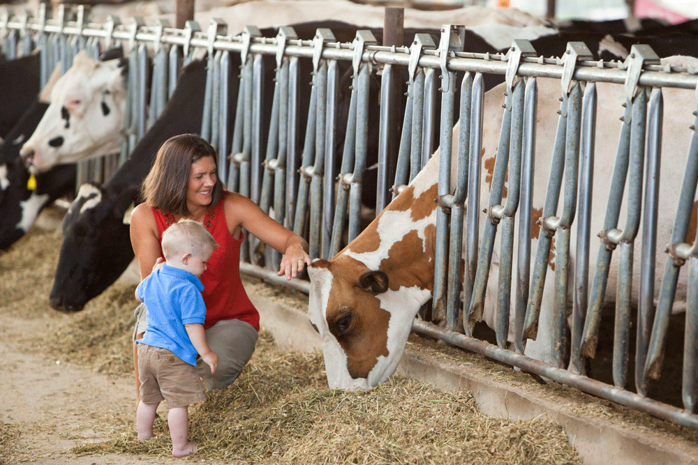Ashley and her young son pet a Red and White Holstein.