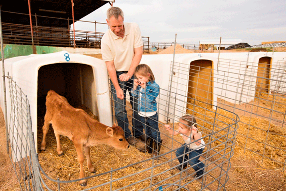 Chuck and two of his daughters checking on a Jersey calf.
