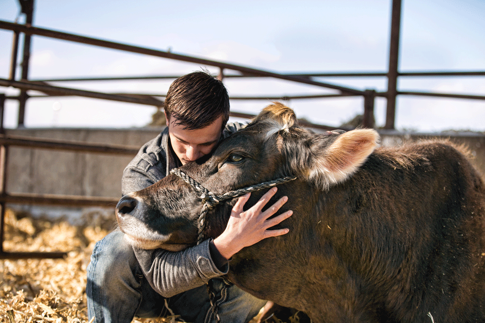 Tyler Dickinson hugs one of his show cows.