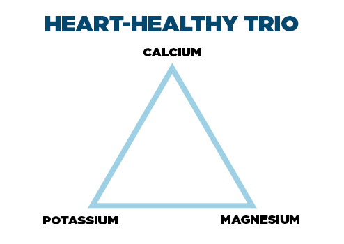 Nutrient Trio: Calcium, Potassium and Magnesium