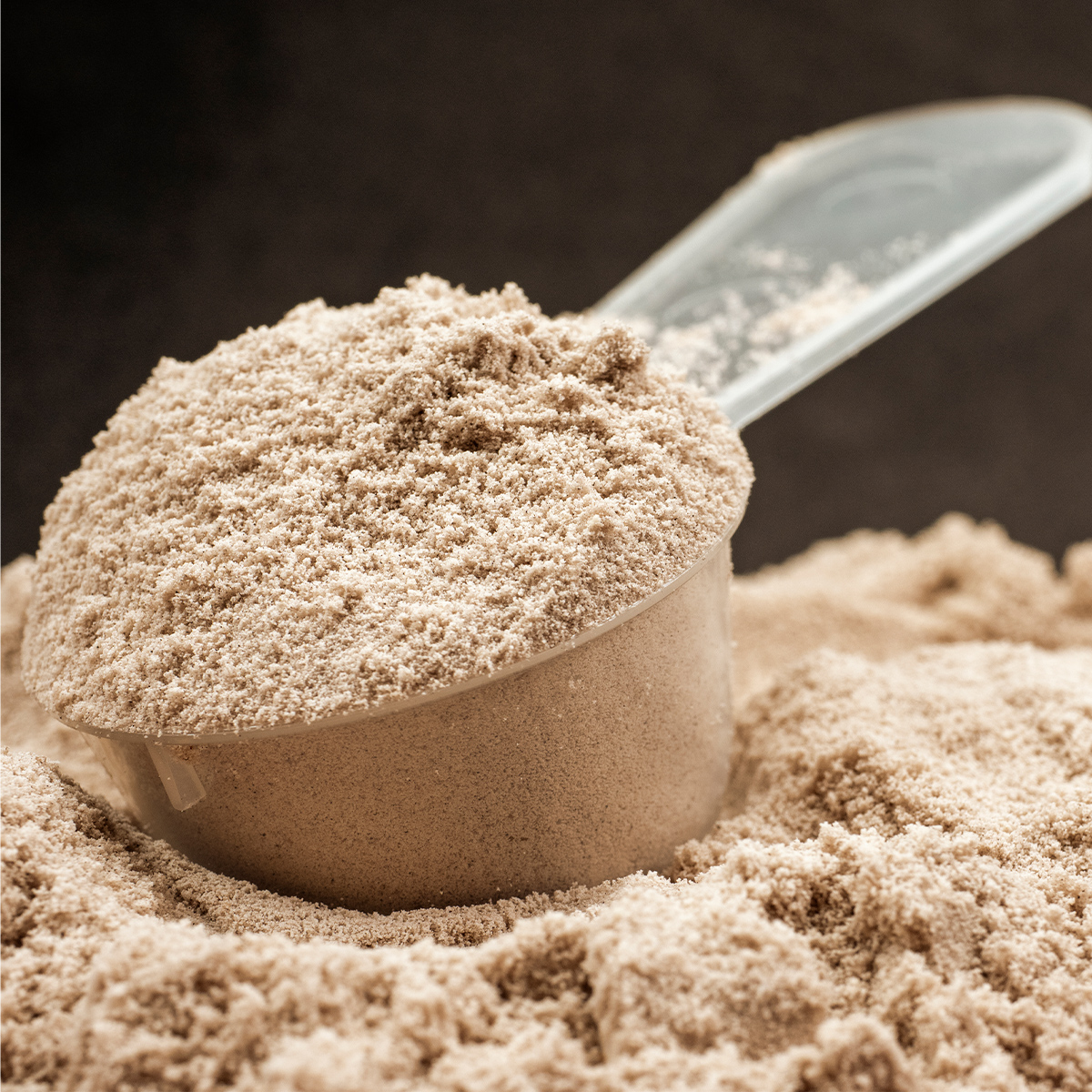 Whey protein powder in a scoop