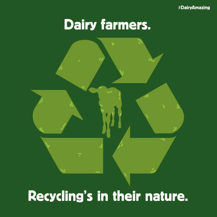 Dairy farmers recycling