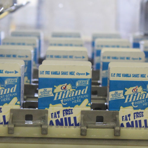 milk cartons in rows