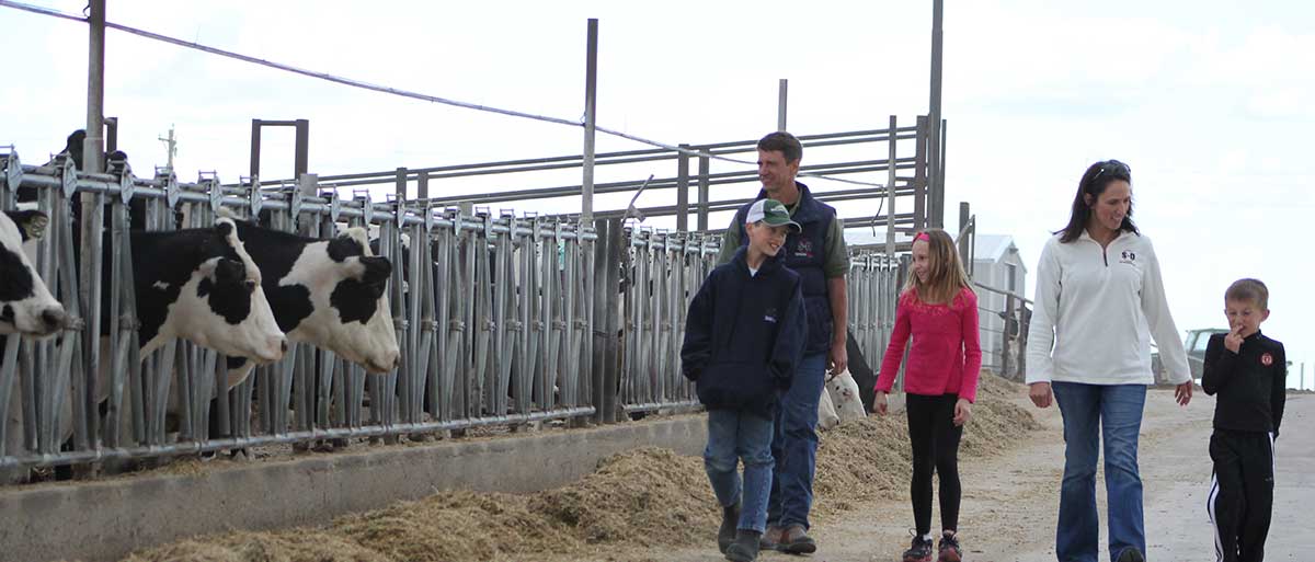 Dan Kullot and his family walking at the dairy farm