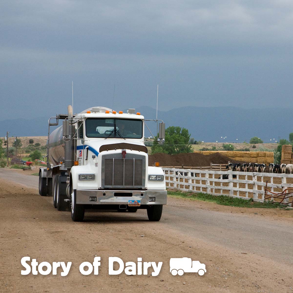 The Story of Dairy: Transporting Milk