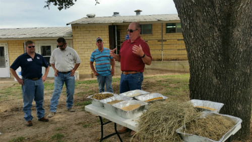 Animal nutritionist discusses feed on Kainer Dairy Farm in Weimar, Texas.