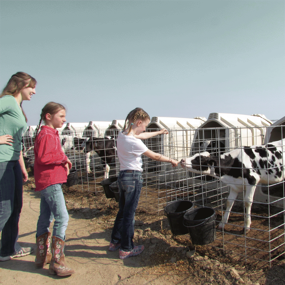 two girls and a woman petting a calf