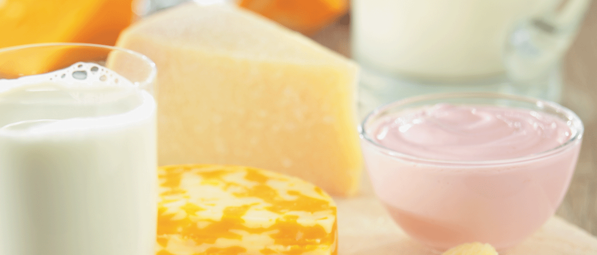 dairy foods - yogurt, milk and cheese