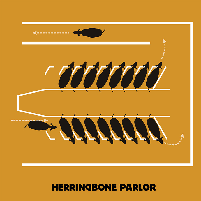 herringbone parlor