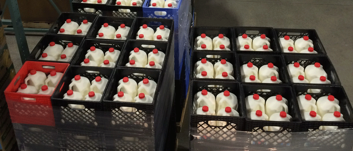 gallons of milk donated to food bank