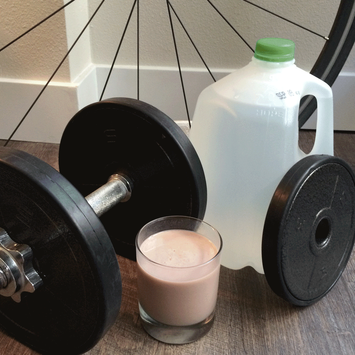 workout equipment - dumbbell, milk jug and chocolate milk for recovery